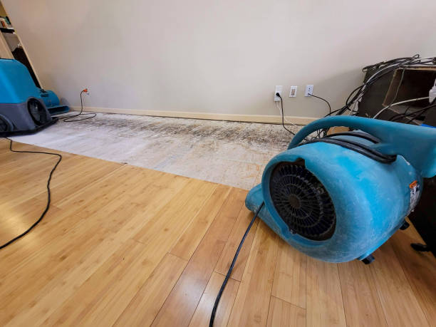 Professional Water Damage Repair technician working in Sauk Centre, MN